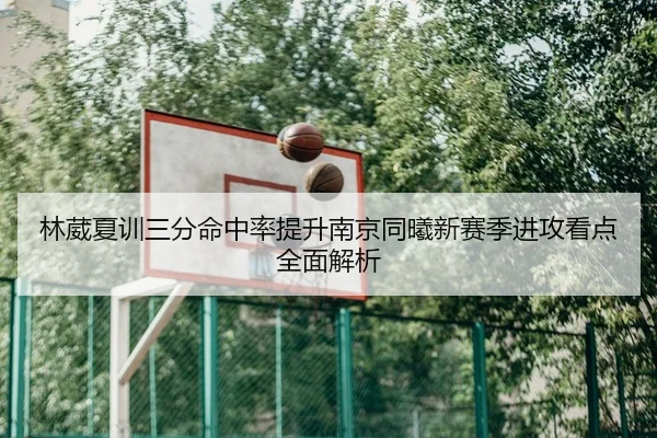 林葳夏训三分命中率提升南京同曦新赛季进攻看点全面解析