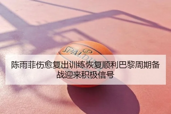 陈雨菲伤愈复出训练恢复顺利巴黎周期备战迎来积极信号