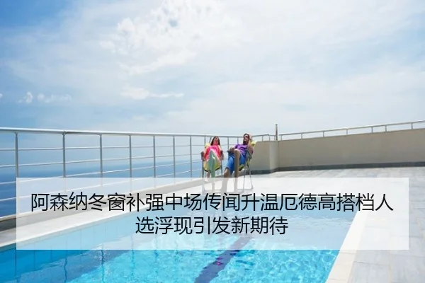 阿森纳冬窗补强中场传闻升温厄德高搭档人选浮现引发新期待